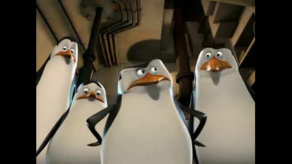 The Penguins of Madagascar - Roomies
