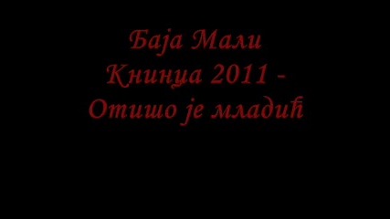 Baja Mali Knindza 2011 - Otisao Mladici 