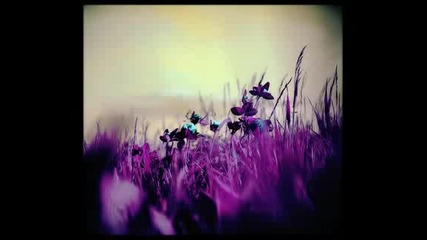 Melody Gardot - Мой един единствен трепет