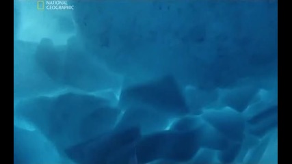 Красотата под полярния лед - бг аудио