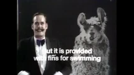 Monty Python - Llamas