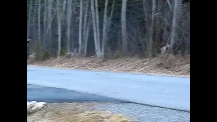 yz250f wheelie