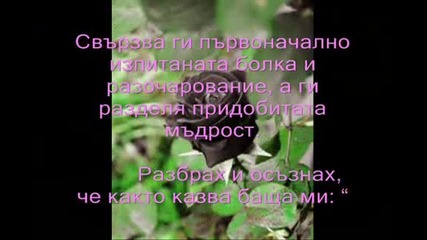 любов и омраза