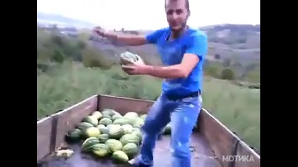 В Албания вече почват да танцуват кючек докато товарят дините в камиона