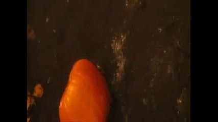 5 Min Scene from Trick R' Treat