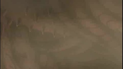 Naruto Shippuuden Епизод.108 Високо Качество [ Bg Sub ]