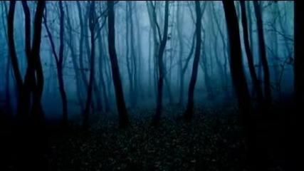 Slumber - Distress