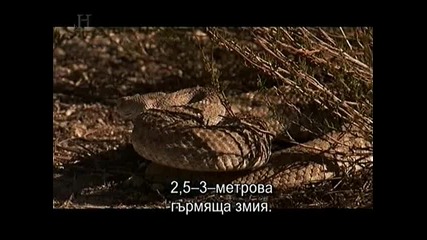 Змиите - 75 години след хората + бг субтитри!