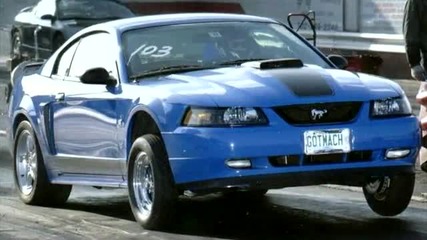 За всички фенове на Ford Mustang Mach 1 2003 - 2004