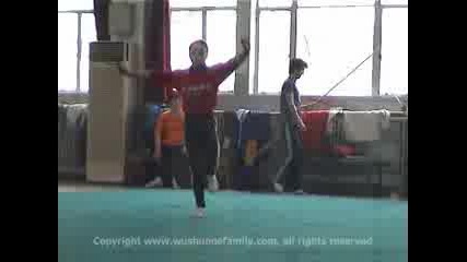 Beijing Wushu Team Trailer 4