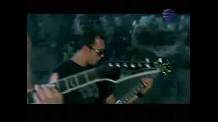 preslava - fenomen