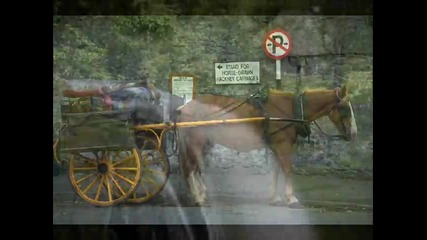 Irish Music and the Emerald Isle