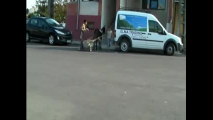Цигански магарцедес