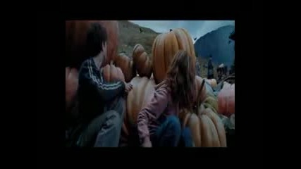 Harry Potter - Hold Me(harry & Hermione)