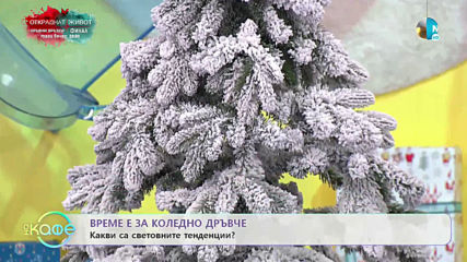Йонко Земярски показва новостите при коледните дръвчета - „На кафе” (06.12.2019)