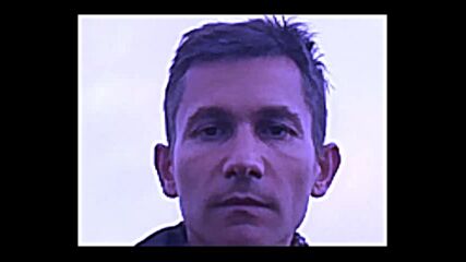 говорът на гората