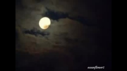 Chris Spheeris - Walk with me