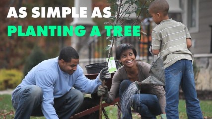 Plant more trees to save the planet