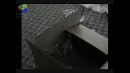 Lockerz Unboxing 2gb Pizza , 3g Skin, Ice Cream