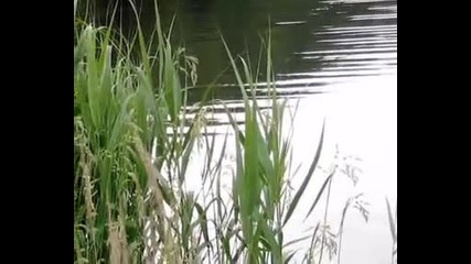 Gheorghe Zamfir - Memory