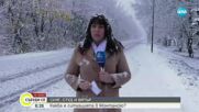 Зимна приказка в Монтана: В града вече има снежна покривка