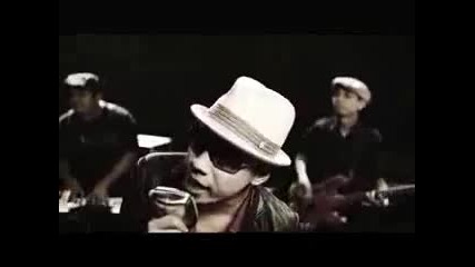 Shaggy Dog - Honey 