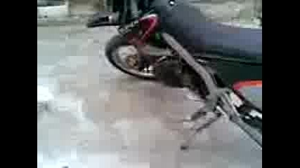 Derbi dvd 50