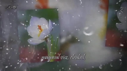 Mehdi - Небесен дъжд