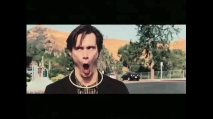 Dis - Jivei (video)