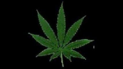 Kingsize-za neq