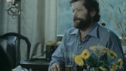 Войната на таралежите, 1979 г. (откъс)