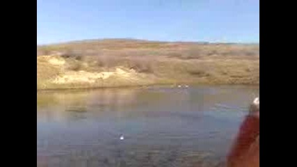 Жабки