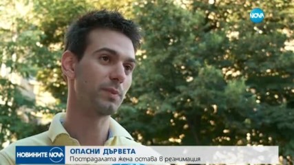 Жената, ударена от паднало дърво в София – в тежко състояние