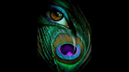 Wicked Sensation - Love is strange