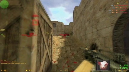Pro Bg