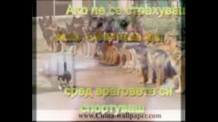 i feel lonely.flv