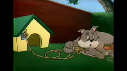 Tom And Jerry
