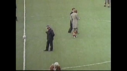 monty python football. 