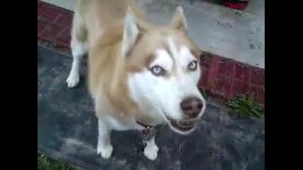 Mov00928