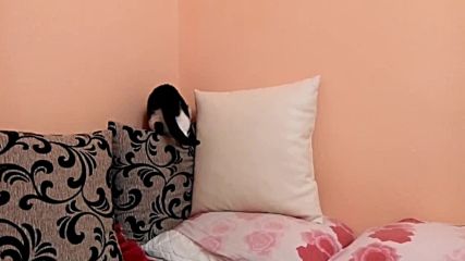 Vid_20180107_221647