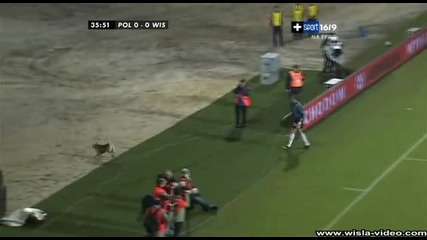 Куче прекъсна футболна игра като влезе в стадиона