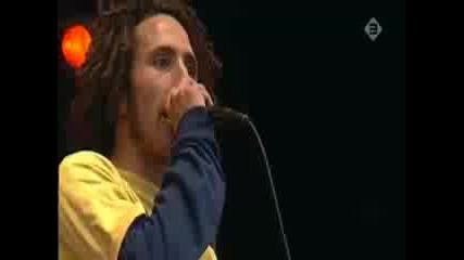 Rage Against the Machine - Killing in the name (live Pinkpop)