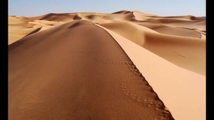 Deep Forest - Desert Walk