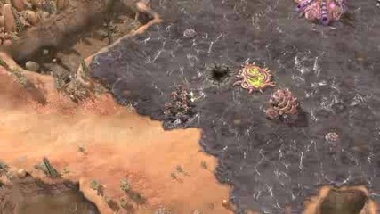 Starcraft 2 - Zerg Evolution Interview