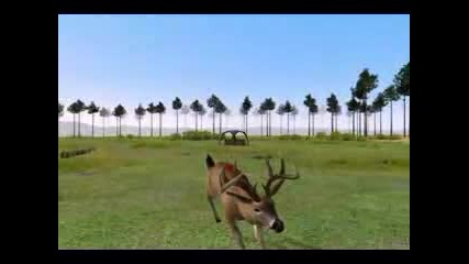 Deer Hunter 2005 World Record Buck