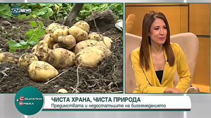 Какви са предимствата и недостатъците на биоземеделието