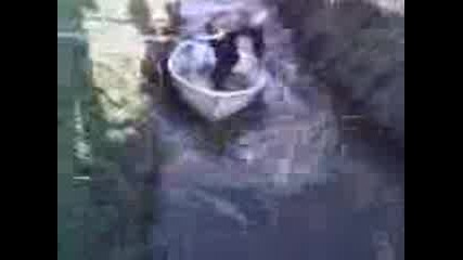 Mirobat 2