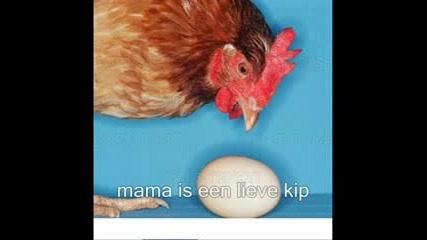 Himna Na Holanskite Pileta