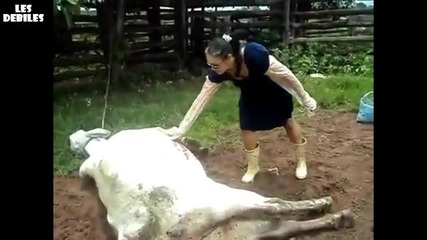 Руска крава нокаутира жена - Смях !!