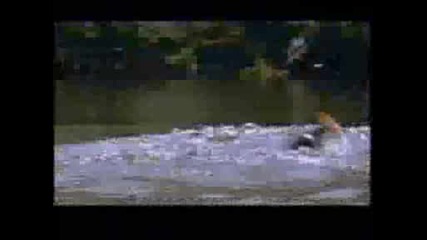 Freaks Of Nature Self - Inflating Fish